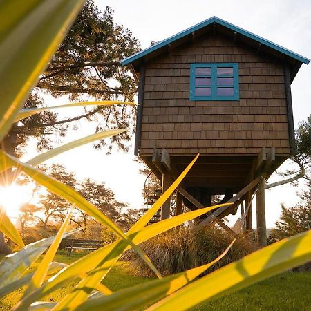 Tui Ridge Eco Cabins Aongatete Buitenkant foto