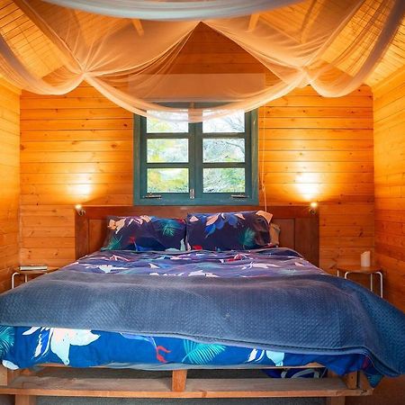 Tui Ridge Eco Cabins Aongatete Buitenkant foto