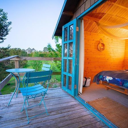 Tui Ridge Eco Cabins Aongatete Buitenkant foto