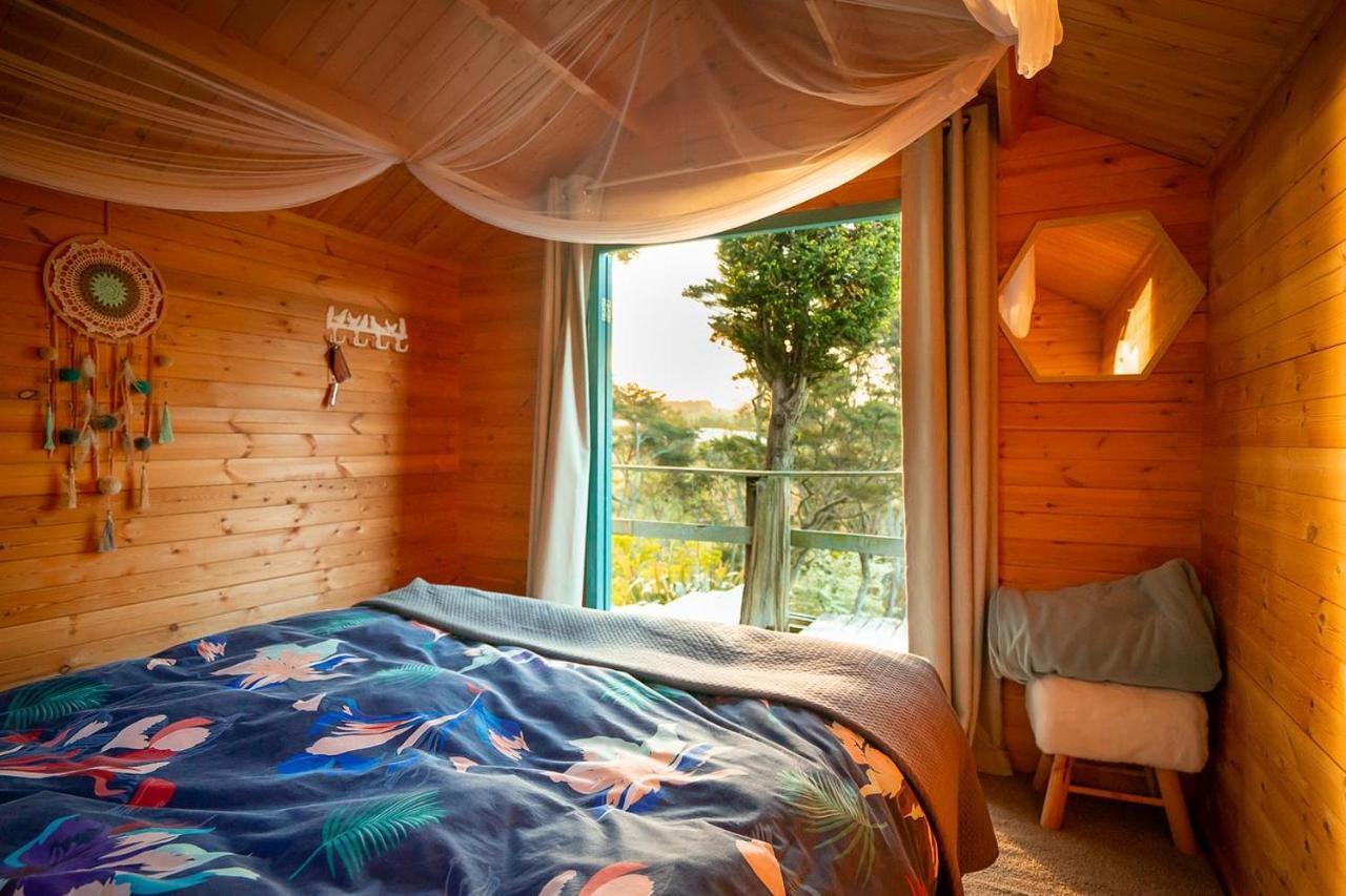 Tui Ridge Eco Cabins Aongatete Buitenkant foto