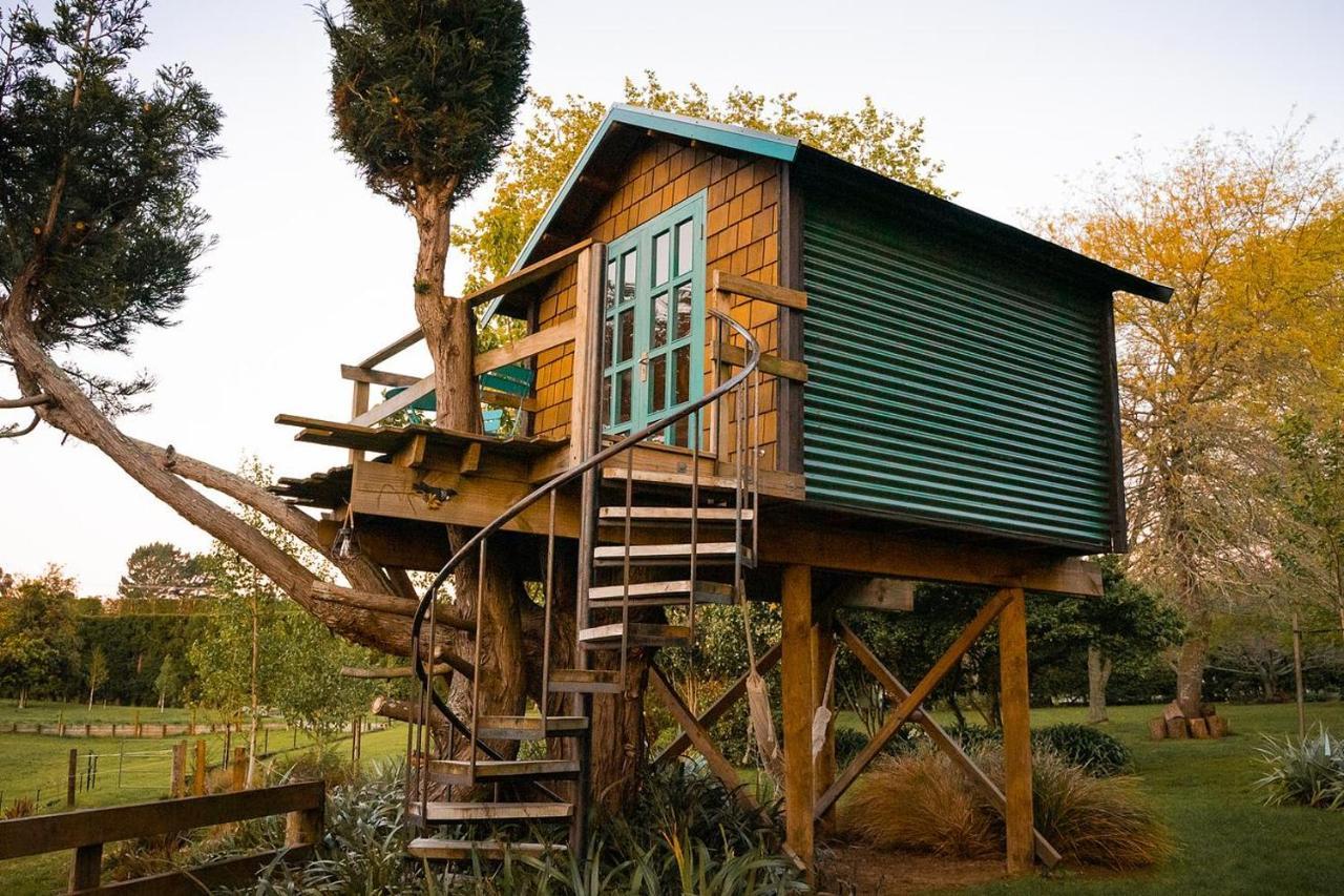 Tui Ridge Eco Cabins Aongatete Buitenkant foto