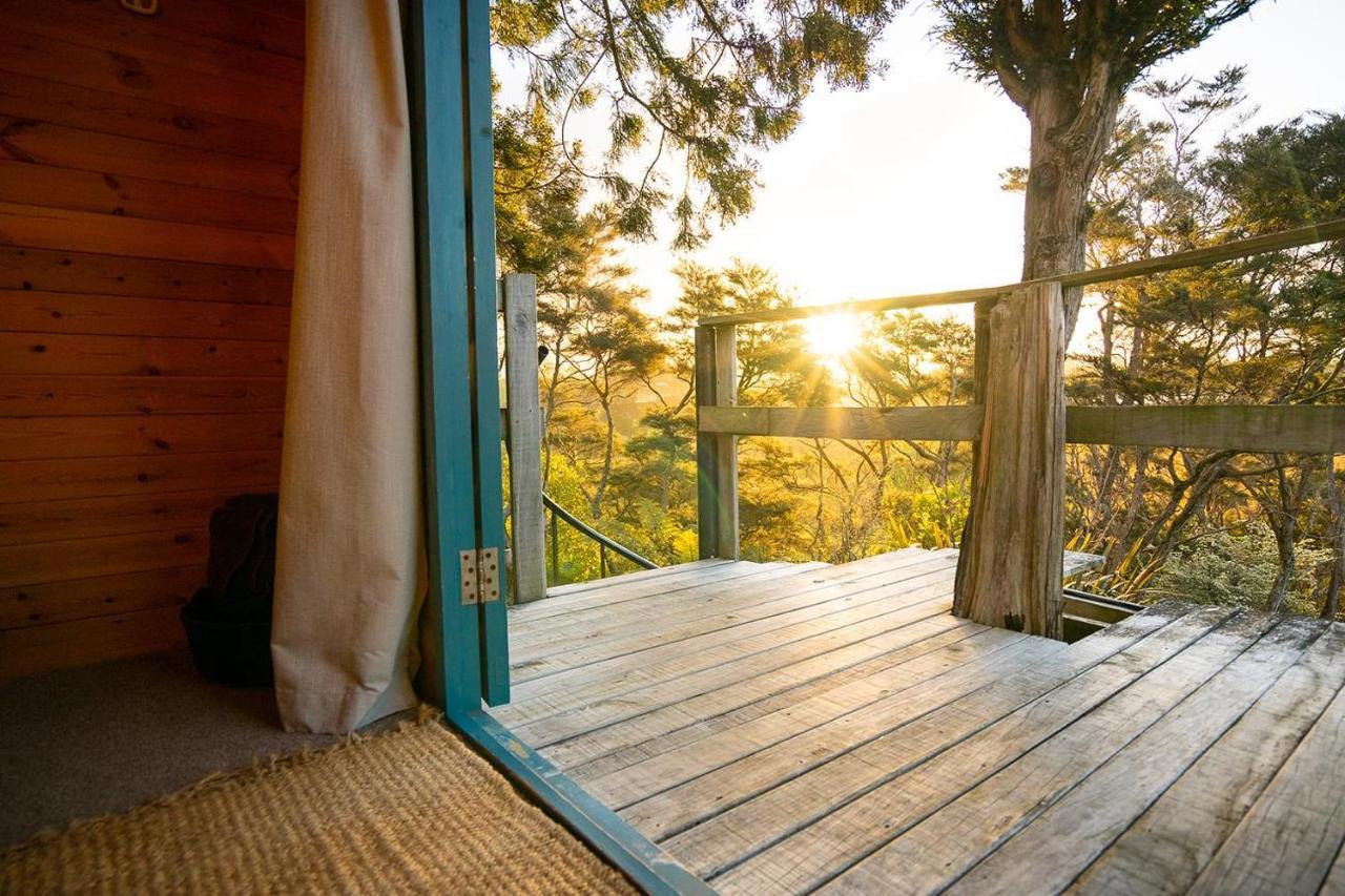 Tui Ridge Eco Cabins Aongatete Buitenkant foto