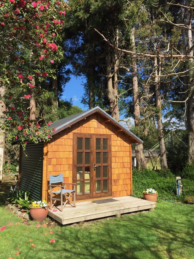 Tui Ridge Eco Cabins Aongatete Buitenkant foto