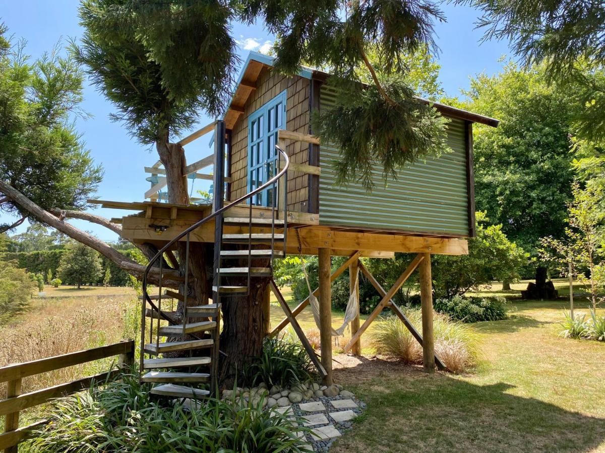 Tui Ridge Eco Cabins Aongatete Buitenkant foto