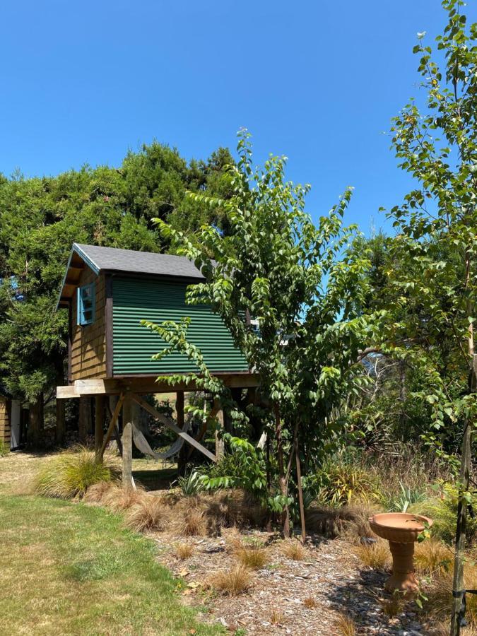 Tui Ridge Eco Cabins Aongatete Buitenkant foto